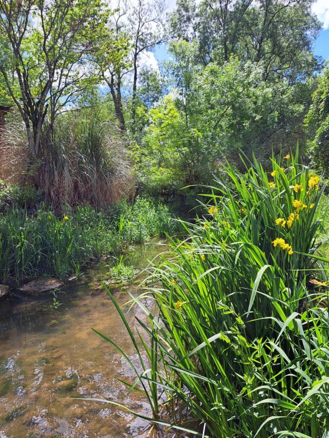 Le Moulin Etourneau - 3 Gites Avec 2 Piscines Champagnac  Exterior foto